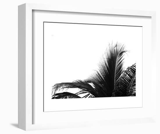 Palms 2-Jamie Kingham-Framed Art Print