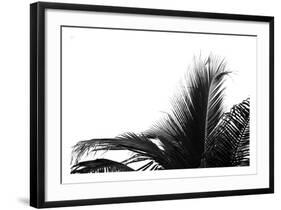 Palms 2-Jamie Kingham-Framed Art Print