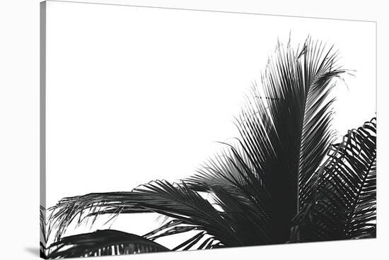 Palms 2-Jamie Kingham-Stretched Canvas