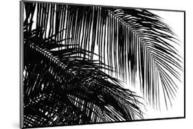 Palms 3-Jamie Kingham-Mounted Giclee Print