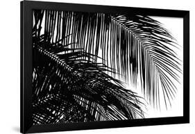 Palms 3-Jamie Kingham-Framed Giclee Print