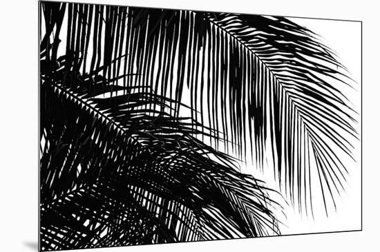 Palms 3-Jamie Kingham-Mounted Giclee Print