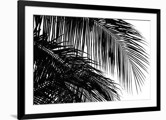 Palms 3-Jamie Kingham-Framed Giclee Print