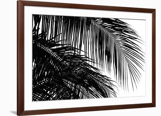 Palms 3-Jamie Kingham-Framed Giclee Print