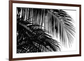 Palms 3-Jamie Kingham-Framed Giclee Print