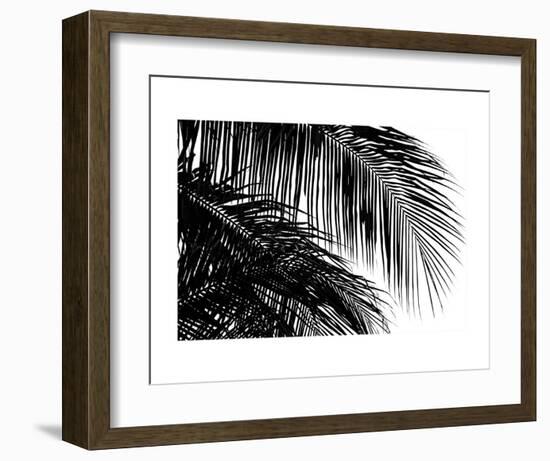 Palms 3-Jamie Kingham-Framed Art Print