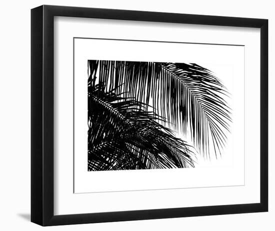 Palms 3-Jamie Kingham-Framed Art Print