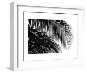 Palms 3-Jamie Kingham-Framed Art Print