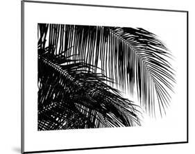 Palms 3-Jamie Kingham-Mounted Art Print