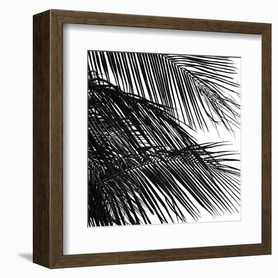 Palms 4 (detail)-Jamie Kingham-Framed Art Print