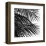 Palms 4 (detail)-Jamie Kingham-Framed Art Print