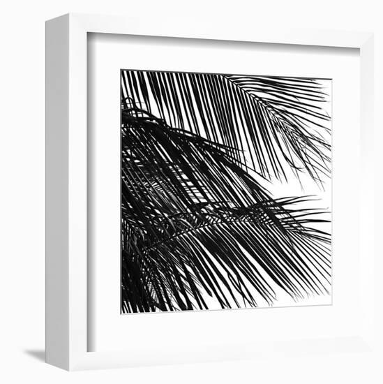 Palms 4 (detail)-Jamie Kingham-Framed Art Print