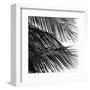 Palms 4 (detail)-Jamie Kingham-Framed Art Print