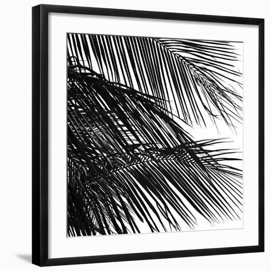 Palms 4 (detail)-Jamie Kingham-Framed Art Print
