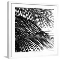 Palms 4 (detail)-Jamie Kingham-Framed Art Print