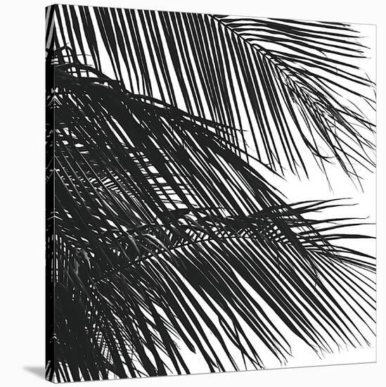Palms 4 (detail)-Jamie Kingham-Stretched Canvas