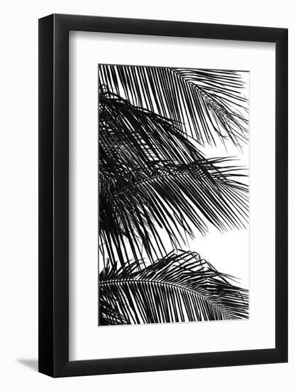 Palms 4-Jamie Kingham-Framed Art Print