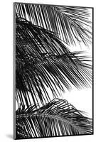 Palms 4-Jamie Kingham-Mounted Art Print