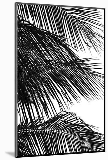 Palms 4-Jamie Kingham-Mounted Art Print