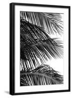 Palms 4-Jamie Kingham-Framed Art Print