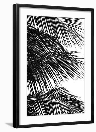 Palms 4-Jamie Kingham-Framed Art Print