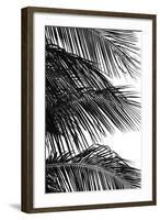 Palms 4-Jamie Kingham-Framed Art Print