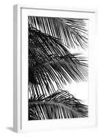 Palms 4-Jamie Kingham-Framed Art Print