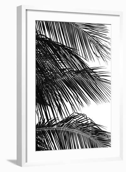 Palms 4-Jamie Kingham-Framed Art Print