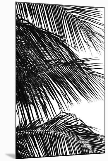 Palms 4-Jamie Kingham-Mounted Art Print