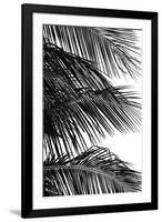 Palms 4-Jamie Kingham-Framed Art Print