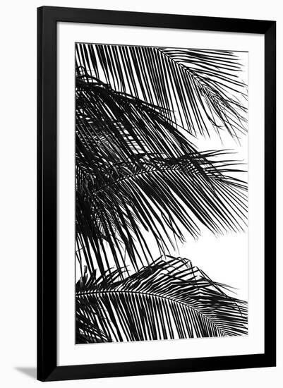 Palms 4-Jamie Kingham-Framed Art Print