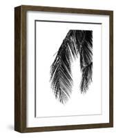 Palms 5-Jamie Kingham-Framed Art Print