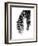 Palms 5-Jamie Kingham-Framed Art Print