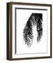 Palms 5-Jamie Kingham-Framed Art Print