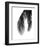 Palms 5-Jamie Kingham-Framed Art Print