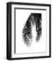 Palms 5-Jamie Kingham-Framed Art Print