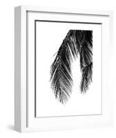 Palms 5-Jamie Kingham-Framed Art Print