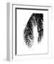 Palms 5-Jamie Kingham-Framed Art Print