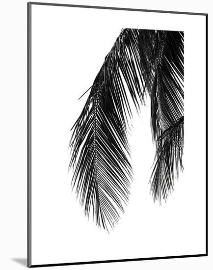 Palms 5-Jamie Kingham-Mounted Art Print