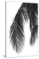 Palms 5-Jamie Kingham-Stretched Canvas