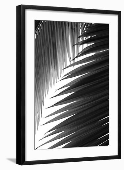 Palms 6-Jamie Kingham-Framed Art Print