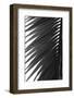 Palms 7-Jamie Kingham-Framed Art Print