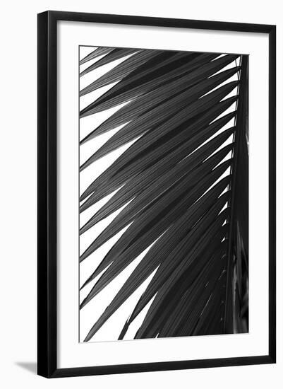 Palms 7-Jamie Kingham-Framed Art Print