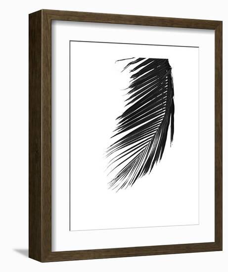 Palms 8-Jamie Kingham-Framed Art Print