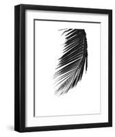 Palms 8-Jamie Kingham-Framed Art Print