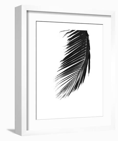 Palms 8-Jamie Kingham-Framed Art Print