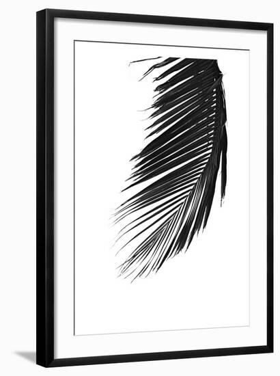 Palms 8-Jamie Kingham-Framed Art Print