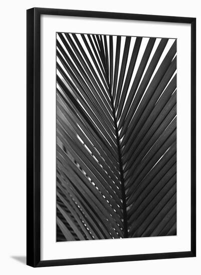 Palms 9-Jamie Kingham-Framed Art Print