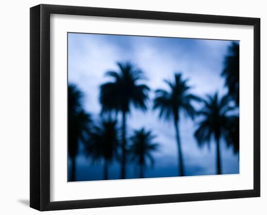 Palms along Ocean Avenue, Santa Monica, Los Angeles, California, USA-Walter Bibikow-Framed Photographic Print