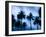 Palms along Ocean Avenue, Santa Monica, Los Angeles, California, USA-Walter Bibikow-Framed Photographic Print